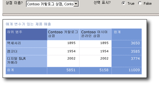 매개 변수가 있는 판매 보고서