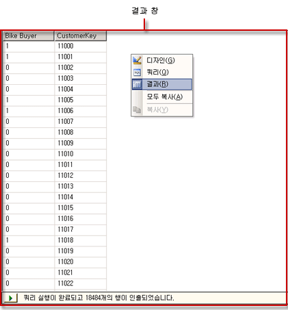 Analysis Services DMX 쿼리 디자이너, 결과 뷰