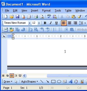 Microsoft Word