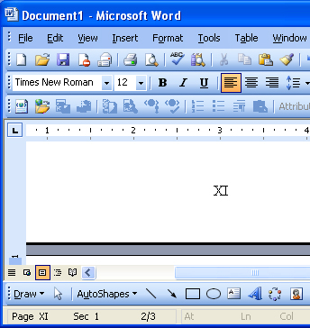 Microsoft Word