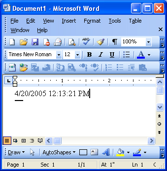 Microsoft Word