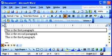 Microsoft Word