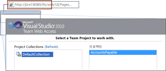 Team Web Access로 이동