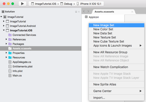 Mac용 Visual Studio 내 자산 카탈로그에서 새 이미지 세트 만들기의 스크린샷