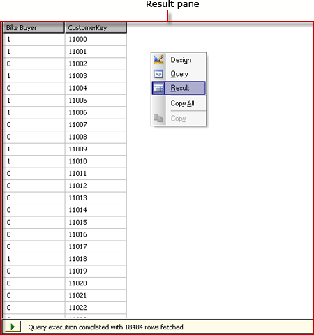 Analysis Services DMX 쿼리 디자이너, 결과 뷰