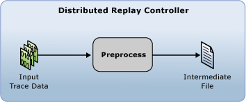 Distributed Replay 전처리 단계를 보여 주는 다이어그램.