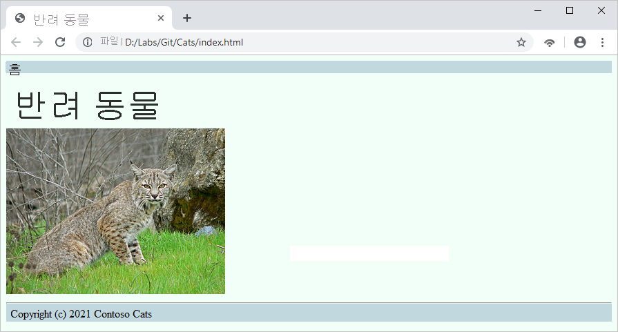 Screenshot that shows cats on the website.