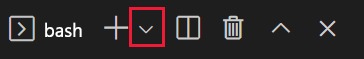 Screenshot of the Visual Studio Code terminal window with bash in the drop-down.