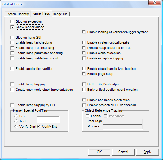 Windows Vista의 커널 플래그 탭 스크린샷