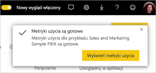 Zrzut ekranu przedstawiający gotowy raport metryk użycia.