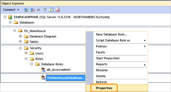 Open Tfs_Warehouse data reader role properties