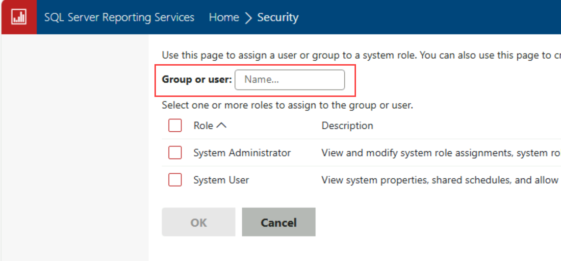 Screenshot that shows the Add group or user section of the report server web portal Security page. The Add group or user field is highlighted.