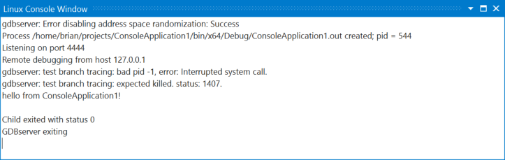 Captura de tela mostrando a janela Console do Linux.