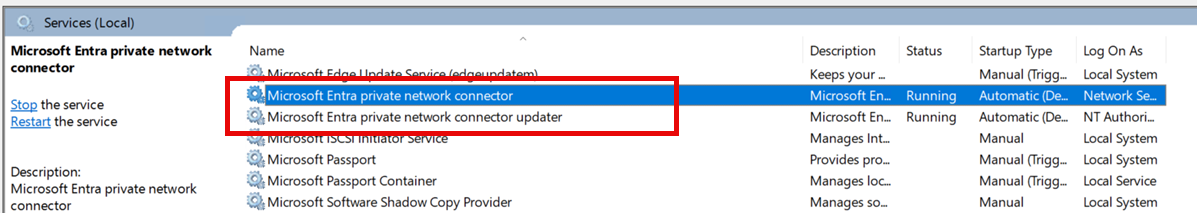 Captura de tela dos serviços do conector de rede privado e do atualizador de conector no Windows Services Manager.