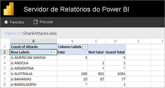 Excel reports viewed from the report server web portal