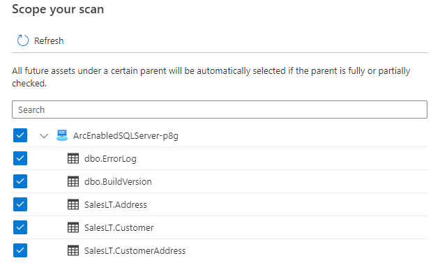 Captura de tela que mostra ativos selecionados para escopo de uma verificação.