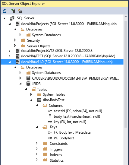 Screenshot that shows the SQL Server Object Explorer window.