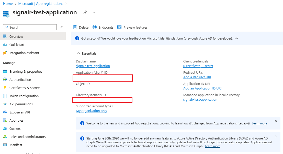 Captura de tela das informações gerais de um aplicativo registrado.