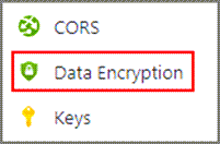 Captura de ecrã da opção Encriptação de Dados no menu de navegação de recursos.