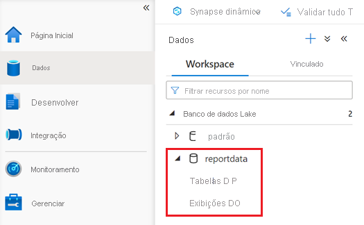 Captura de ecrã do painel Dados que mostra a base de dados reportdata