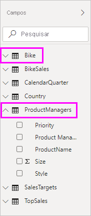Captura de ecrã do painel Campos com os campos Bike e ProductManagers selecionados.