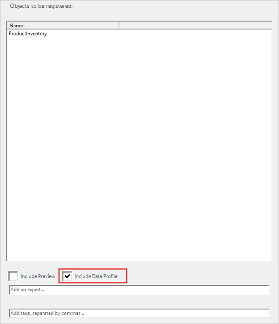 A caixa Incluir Perfil de Dados está marcada na parte inferior da janela Objetos a serem registrados.