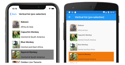 Captura de tela de uma lista vertical CollectionView com pré-seleção única, no iOS e no Android