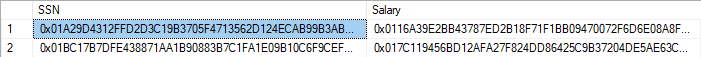 Captura de tela de resultados de texto cifrado de colunas criptografadas.