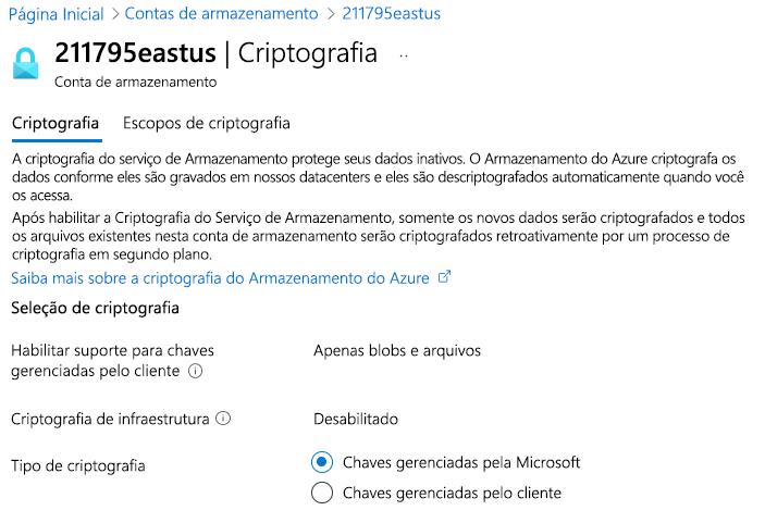 Screenshot that shows Azure Storage encryption, including keys managed by Microsoft and customer-managed keys.