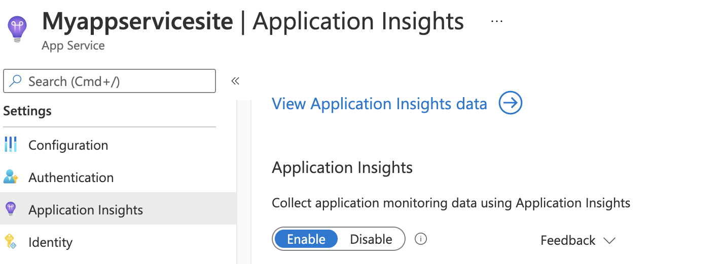 Снимок экрана: вкладка Application Insights с выбранным параметром 