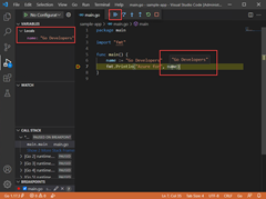 Снимок экрана: запуск отладчика в VS Code.