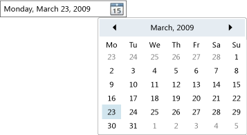 Элемент управления DatePicker