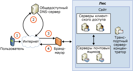 Обзор автоматического обнаружения в службе Exchange ActiveSync