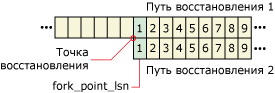 Как номера LSN повторно используются в разных вилках восстановления