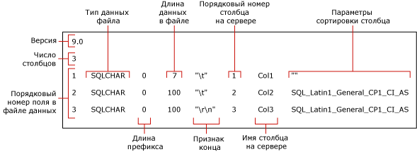 файл форматирования по умолчанию в формате, отличном от XML, для myTestSkipCol