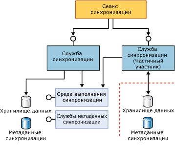 Компоненты полного и частичного участников