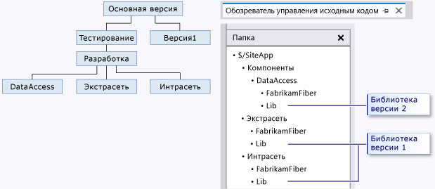 Папка библиотеки со структурой ветви