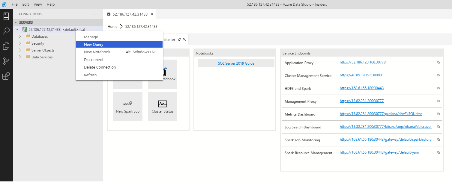 Запрос главного экземпляра SQL Server