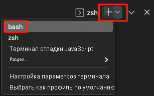 A screenshot of Visual Studio Code showing the location of the Bash shell.