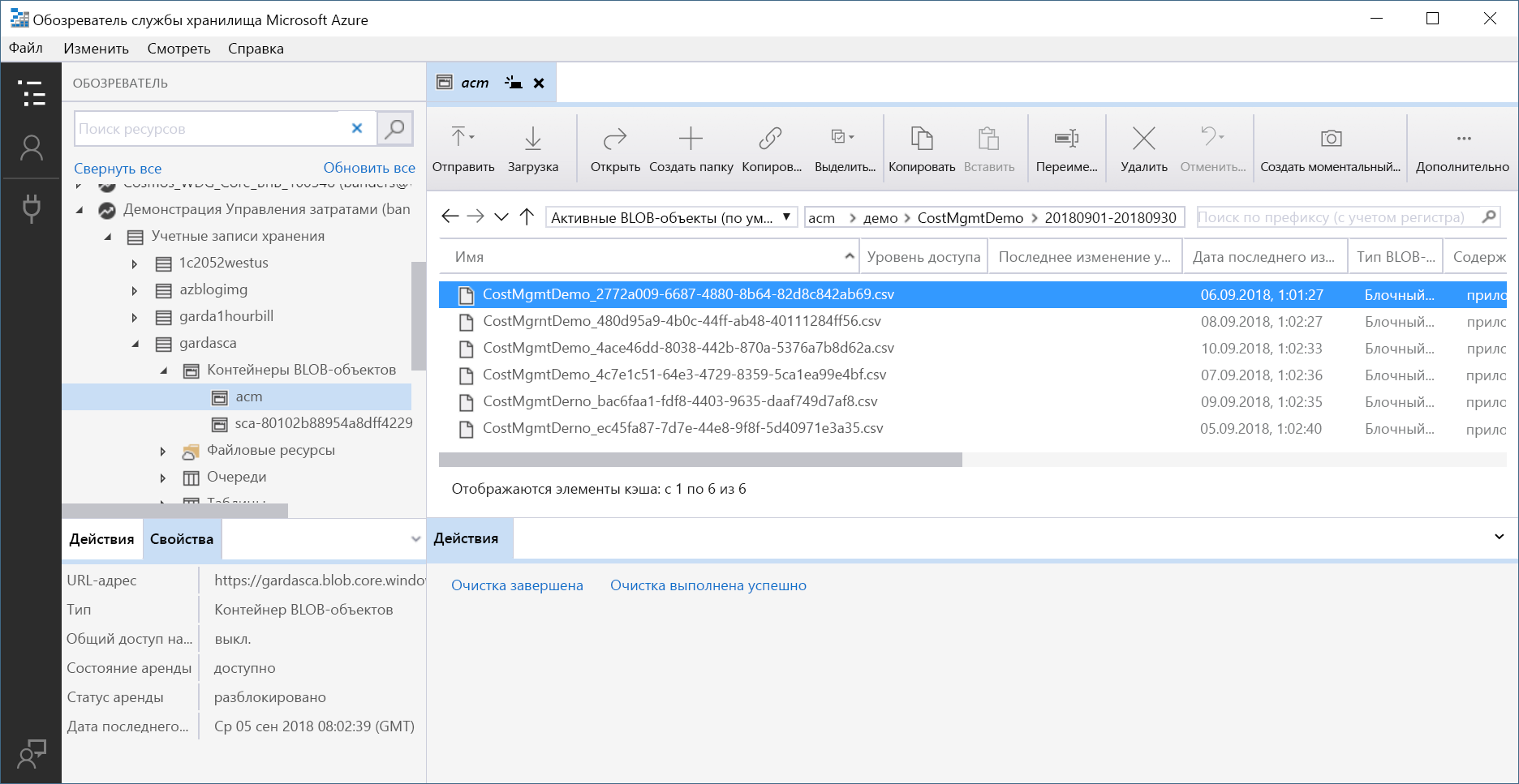 Screenshot of example information shown in Storage Explorer.