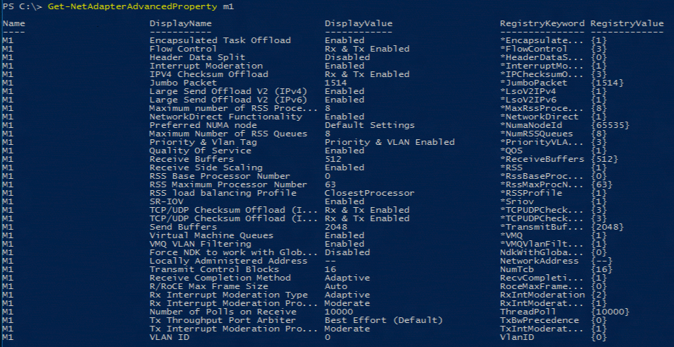 Get-NetAdapterAdvancedProperty m1