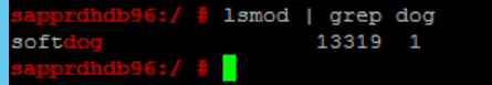 Skärmbild som visar en del av ett konsolfönster med resultatet av att köra kommandot l s mod.