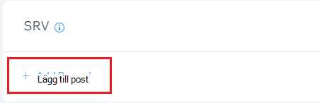 Skärmbild av var du väljer Lägg till en post för att lägga till en SRV-post.