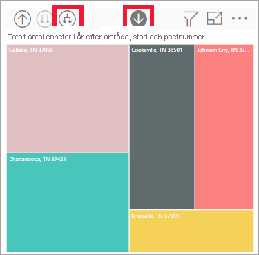 Screenshot of the visual showing category, manufacturer, and segment.