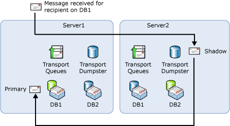 Preferred delivery path