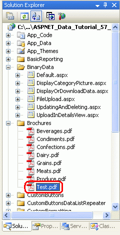 Test.pdf Dosyası Web Sunucusunun Dosya Sisteminden Silinmedi