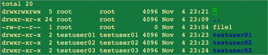 Host1'in üç test kullanıcısı hesabı olduğunu gösteren ekran görüntüsü.