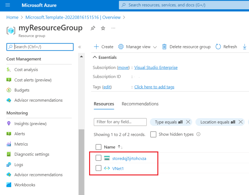 Azure portal'da depolama hesabı ve sanal ağ içeren kaynak grubunun ekran görüntüsü.