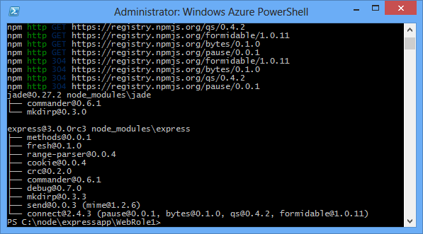 npm install komutunun çıkışı