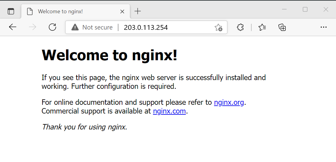 NGINX web sunucusunu test etme işleminin ekran görüntüsü.